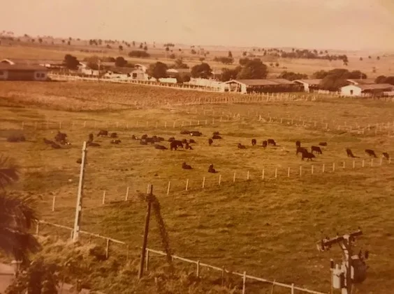 Typical Cuban landscape overlooking the language institute